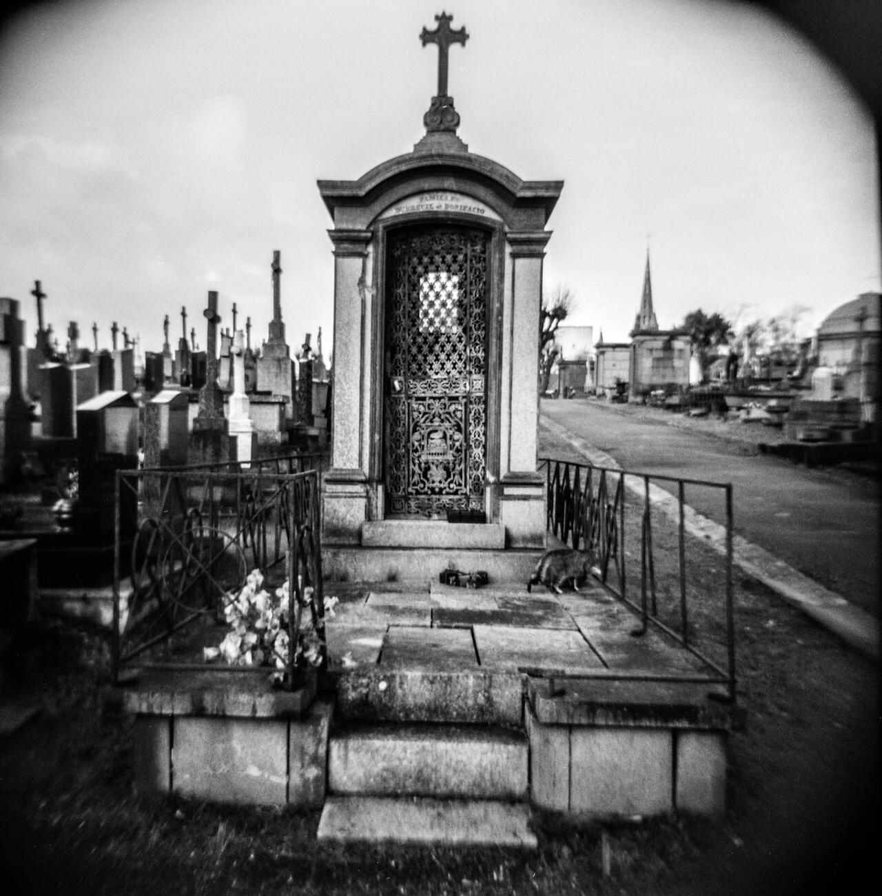 Rest in peace - Exposition photo - 4