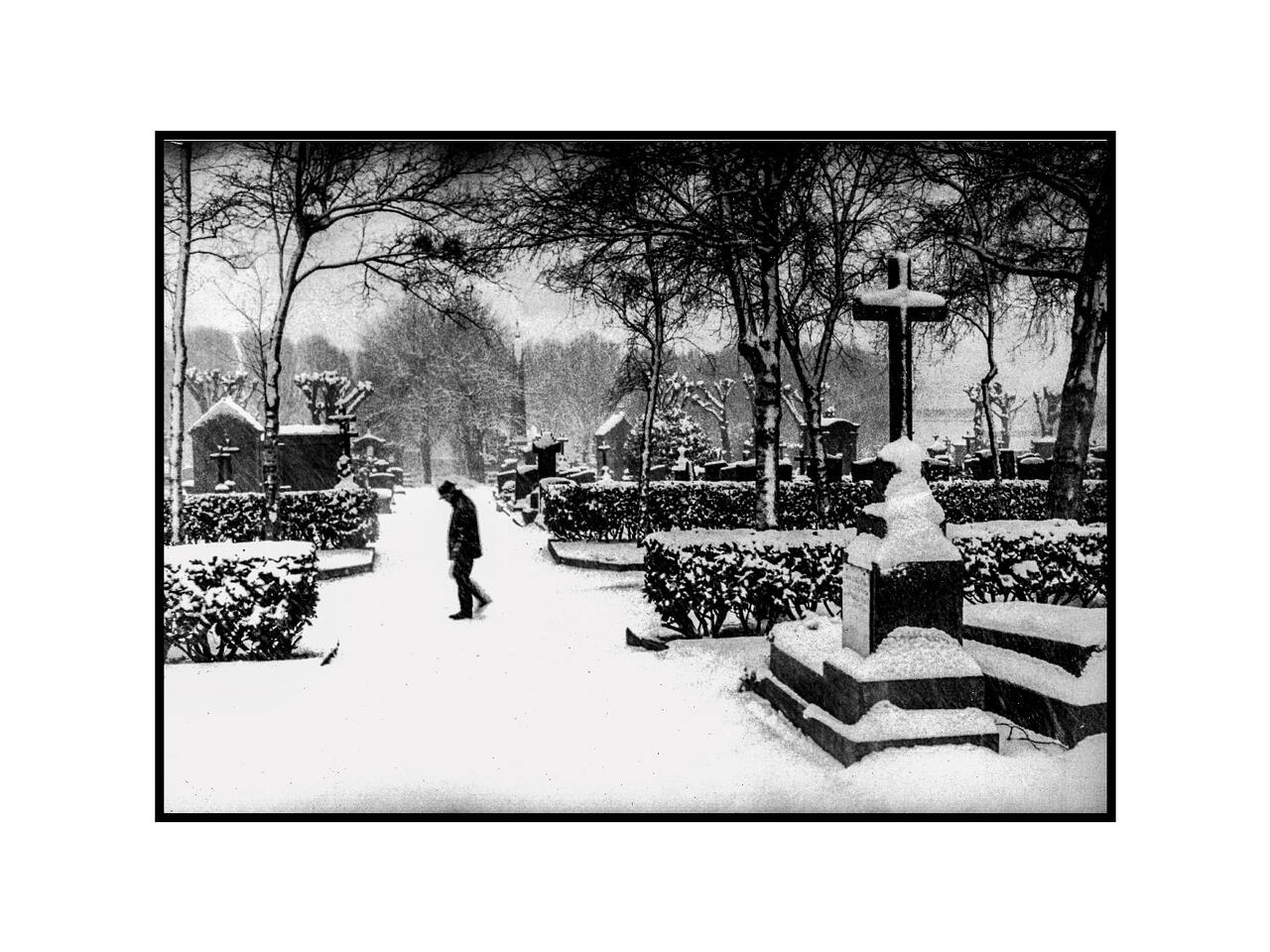 Rest in peace - Exposition photo - 1