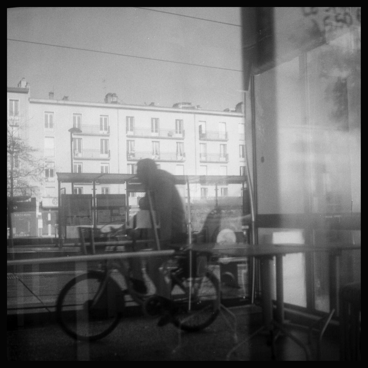 Rouleaux d'automne - Exposition photo - 3