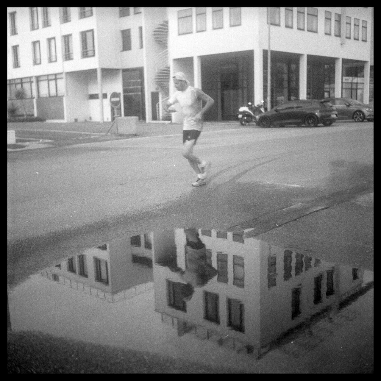 Rouleaux d'automne - Exposition photo - 1