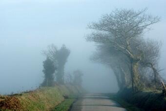 Près des brumes