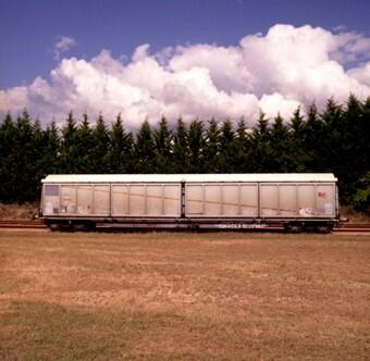 Exposition Photographique