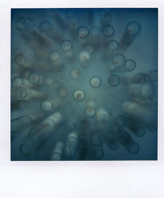 Recherches aquatiques - Camera Obscura - 1