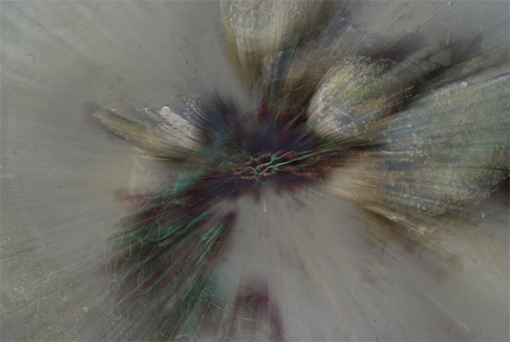 Faille - Fanny Moal, Morgane Ricard, Erwan Stricot