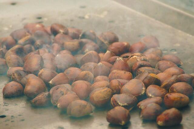 Pardon des chataîgnes: Lanrivoaré - Photoclub de St Renan