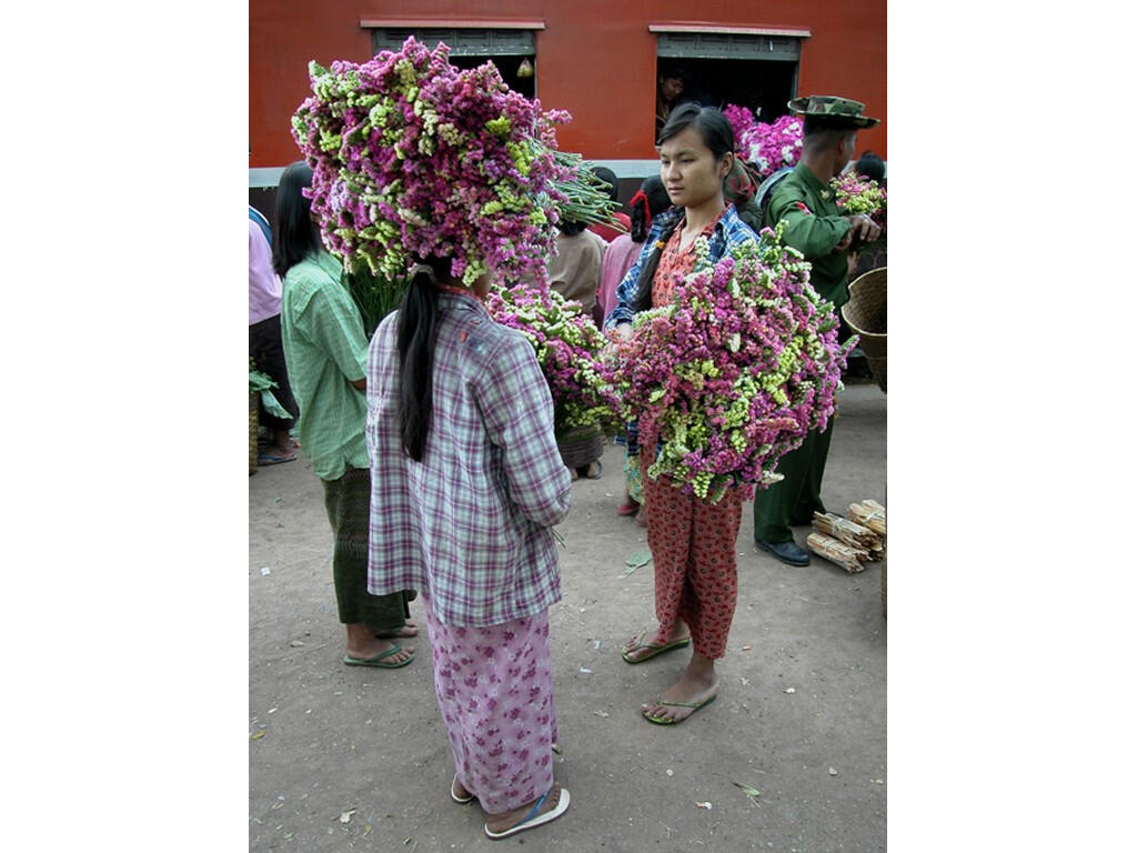 En Transit - Collectif Pluie d'images - CAPAB - 3