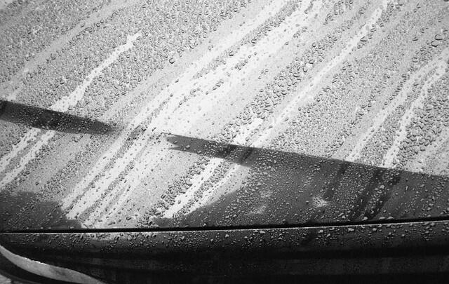 Carte blanche - Photo Club du PL Lambé