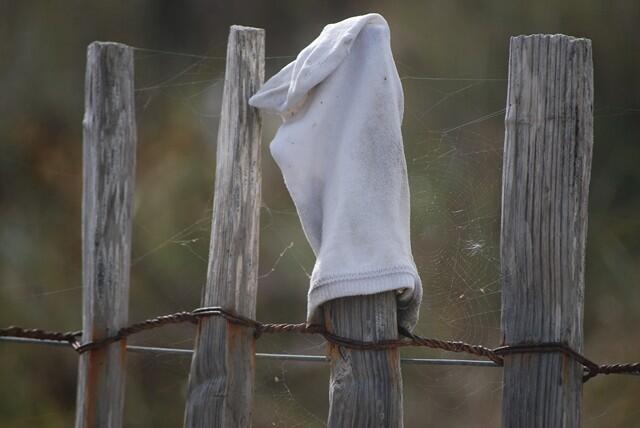 Images vagabondes & Evolution - Yuna Guilcher & Axelle Abjean - 1