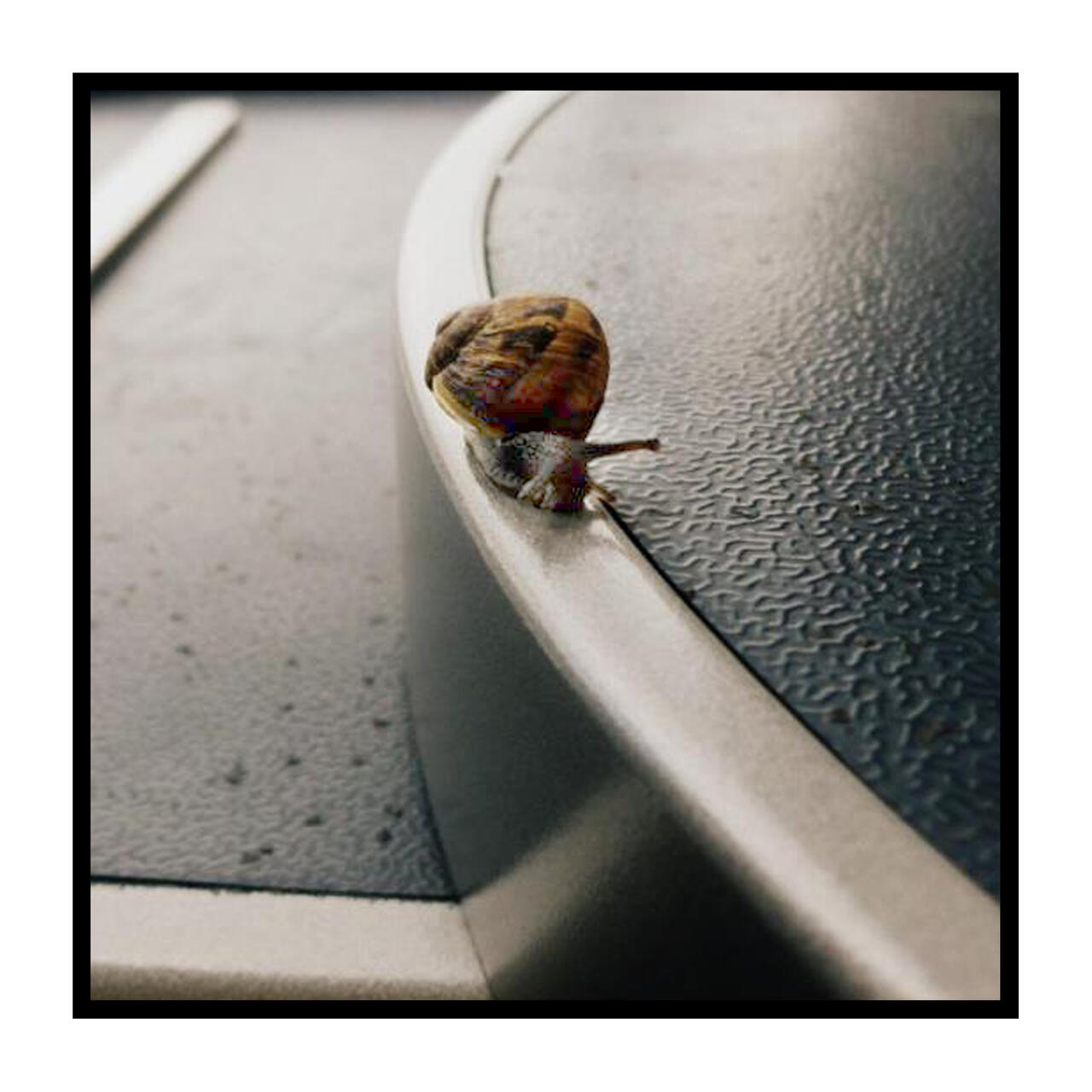 Images vagabondes & Evolution - Yuna Guilcher & Axelle Abjean - 3