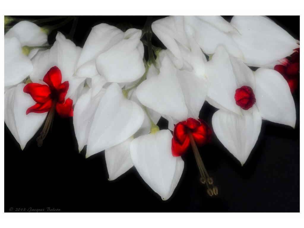 Que reste t-il de nos 16 ans ? - Collectif Pluie d'images - CAPAB - 1