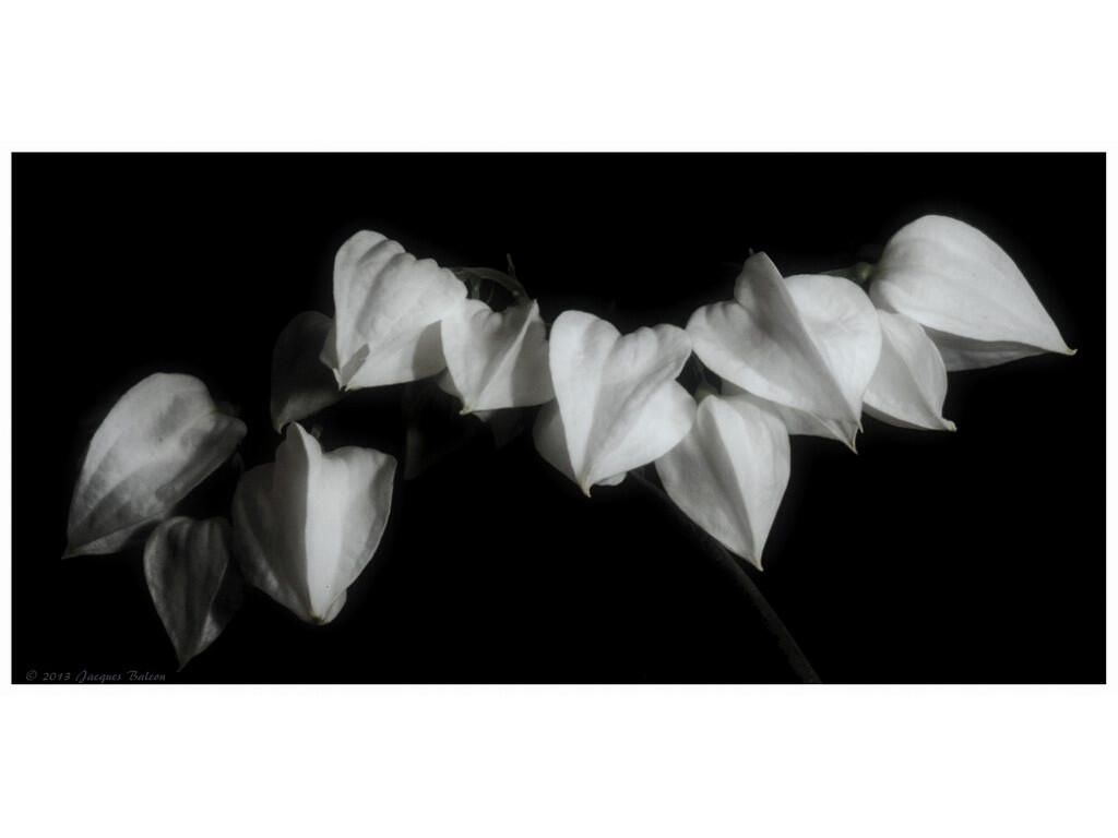 Que reste t-il de nos 16 ans ? - Collectif Pluie d'images - CAPAB - 2