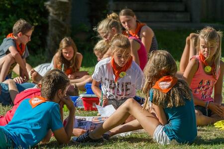 Des oiseaux de passage