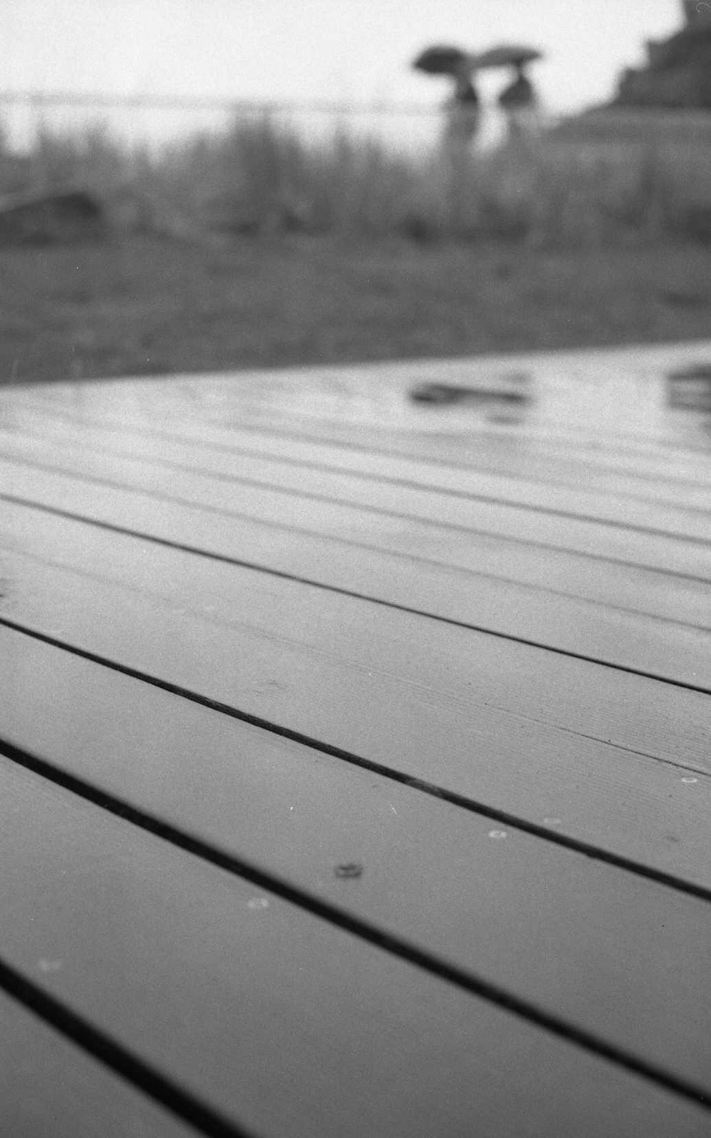 Carte blanche - Photo Club PL Lambé