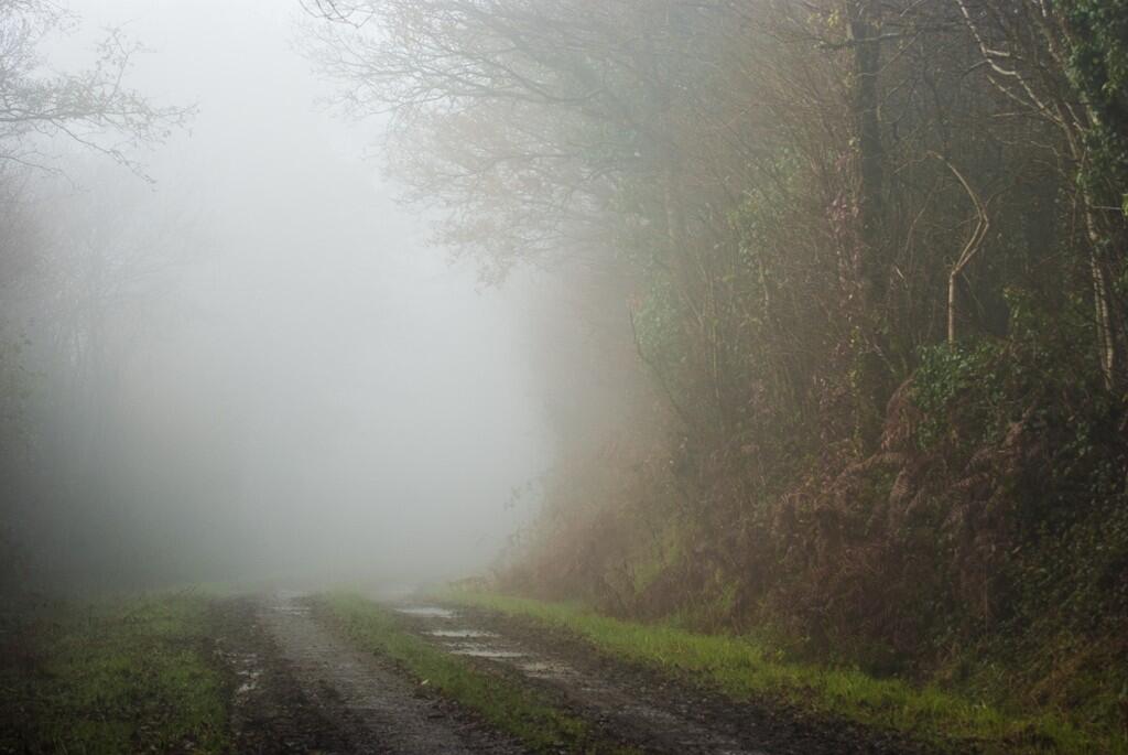 Y aller par quatre chemins... - Dominique Daniel