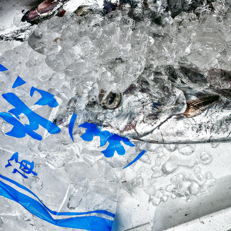 Dé(s)paysage(s) - Gaël Bourumeau - 6