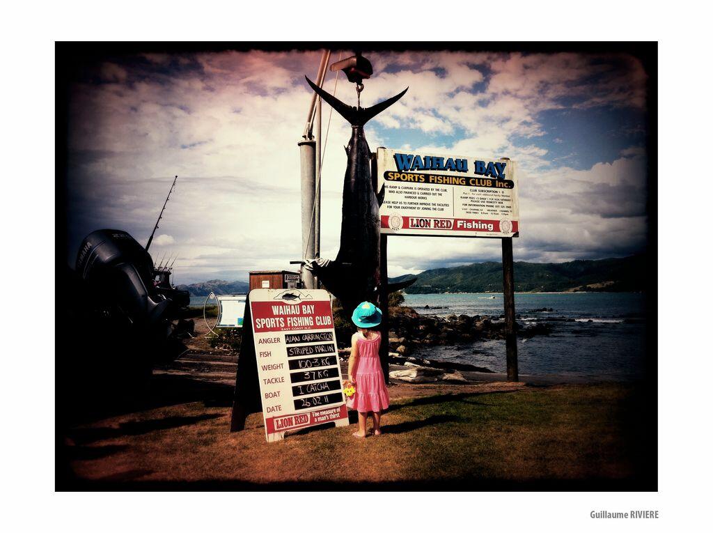 New Zealand & Le desert de Mojave - Guillaume Rivière - 1