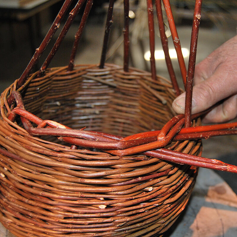 Envi-Rond-nnement - Kafe-Foto - 2