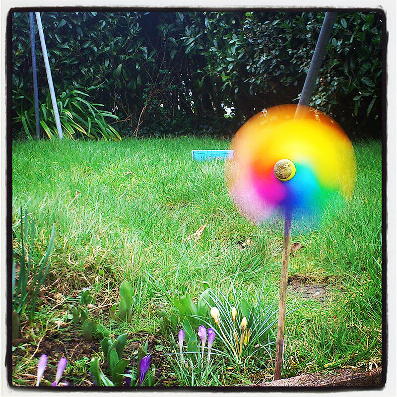 Envi-Rond-nnement - Kafe-Foto - 3