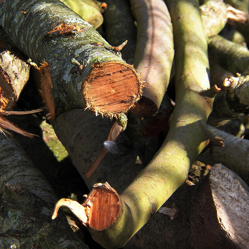 Envi-Rond-nnement - Kafe-Foto - 6