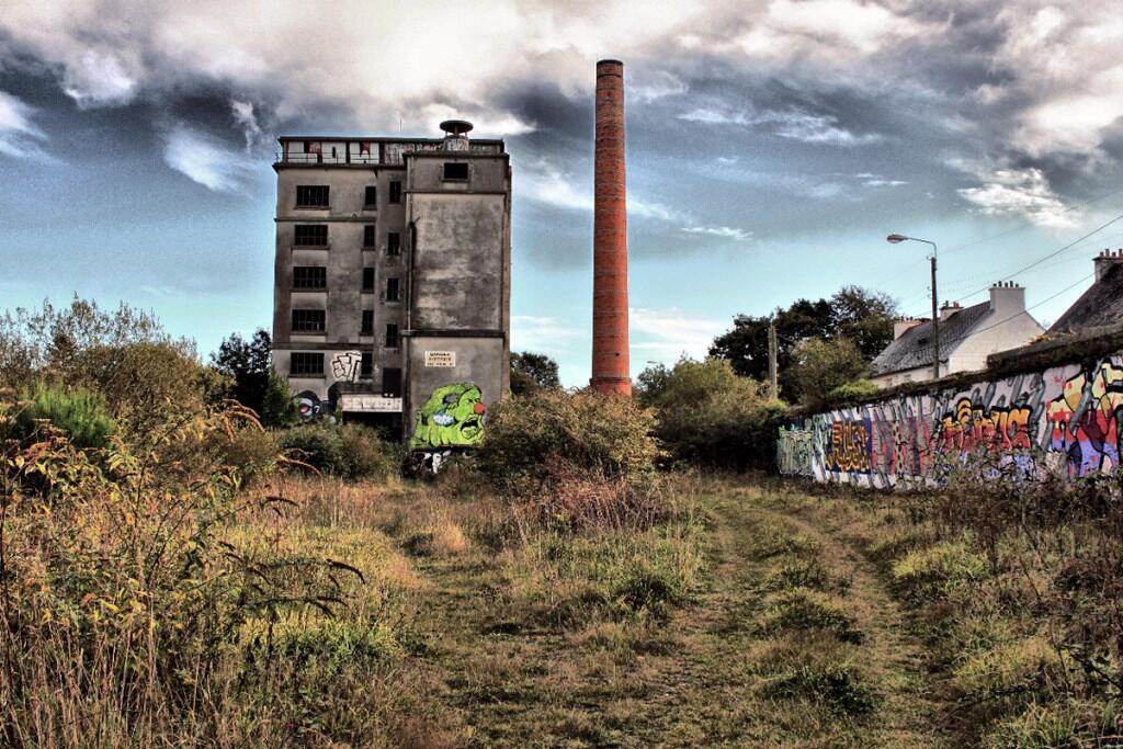 Évolution naturelle ? - Photo-Club du Foyer Laïque de Bourg-Blanc