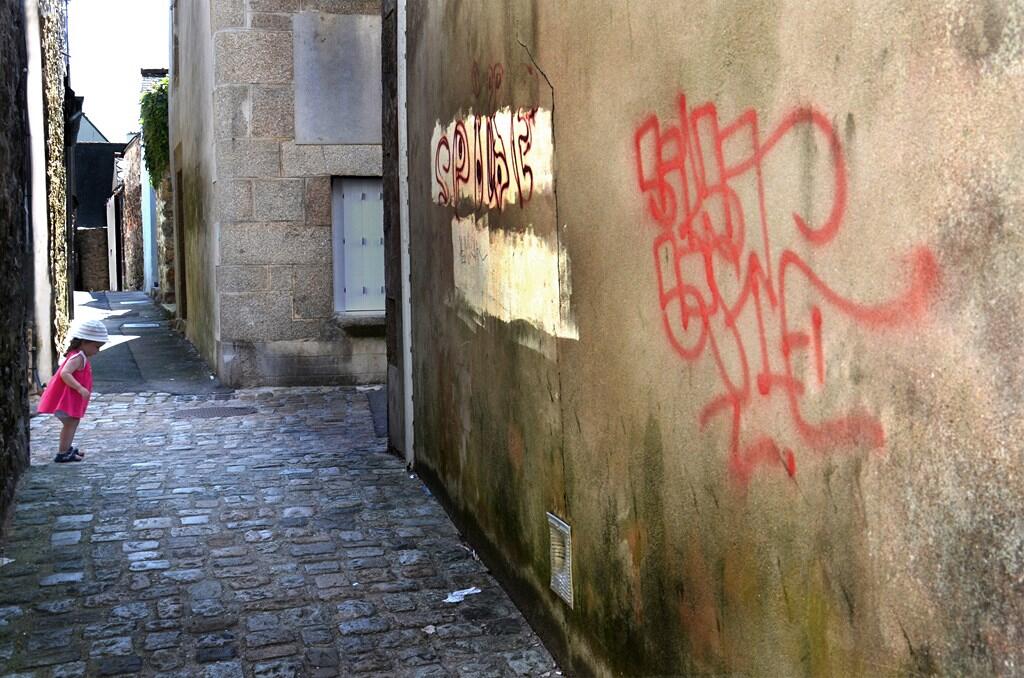 L'environnement dans sa diversité - Photo-Club de Logonna - 3