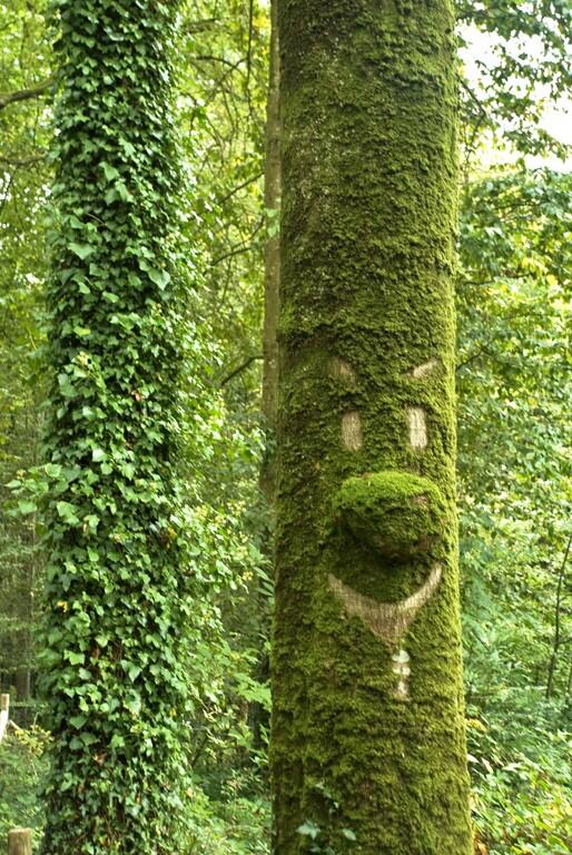 Bio Divers Cité - Photo-Club du PL Bergot