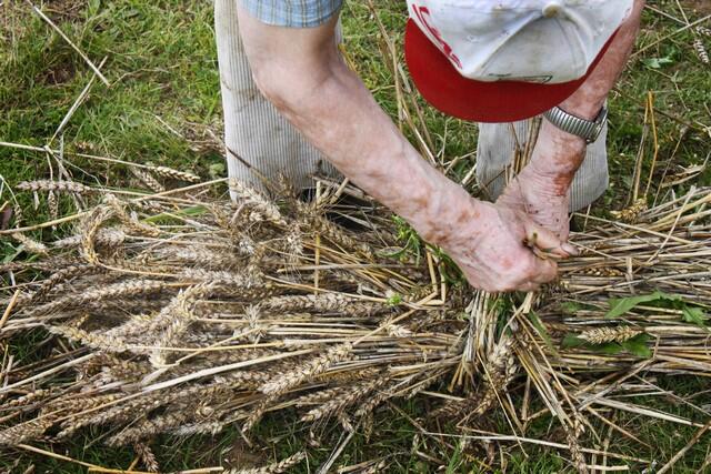 Rève d'images - Asambles PC Logonna - 2