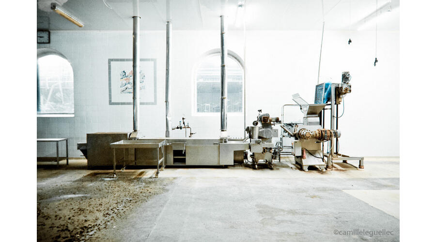 Silencio - Camille Le Guellec - 1