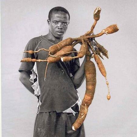 Nha Terra : le fruit du travail