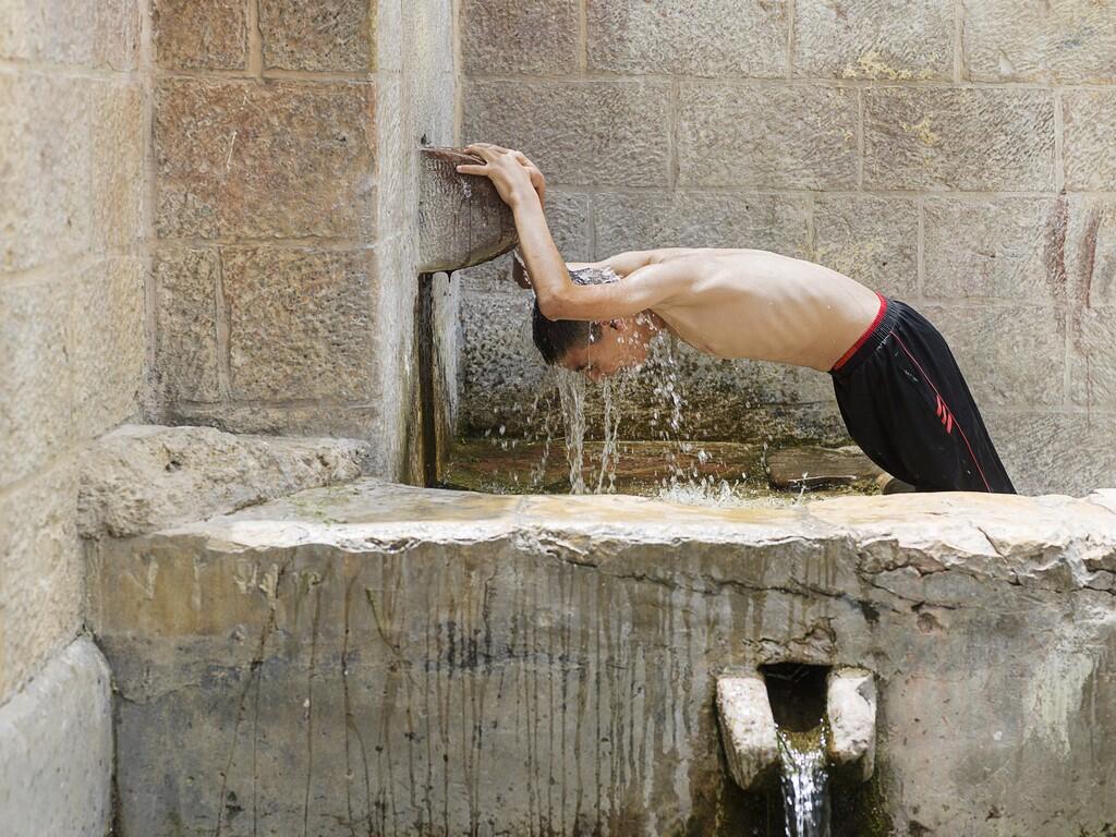 Israël, Cisjordanie, vallée du Jourdain, Evil of the Eden - Philippe Chancel - 2
