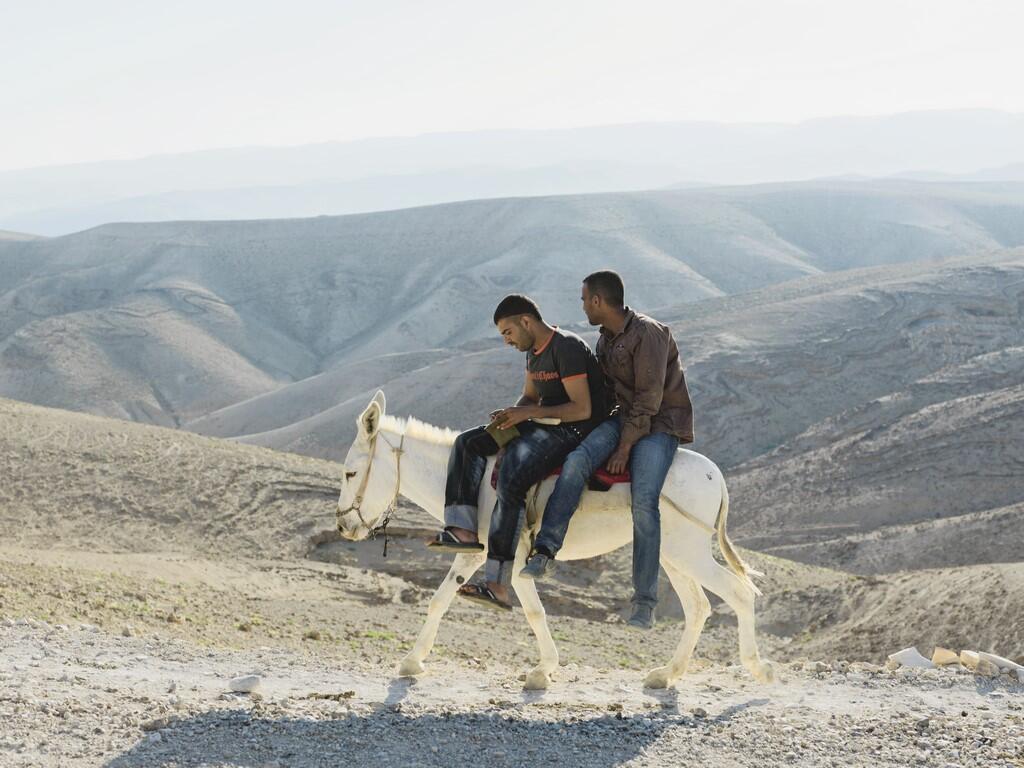 Israël, Cisjordanie, vallée du Jourdain, Evil of the Eden - Philippe Chancel - 6