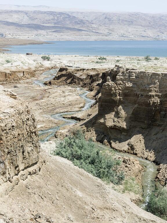Israël, Cisjordanie, vallée du Jourdain, Evil of the Eden - Philippe Chancel - 7