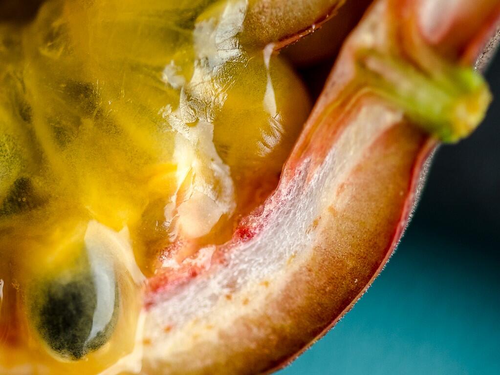 Peau d'âme - Brest, ma ville - Entre parallèles et oppositions - Annecat, Siham Fromont et les apprentis de l'IFAC - 1