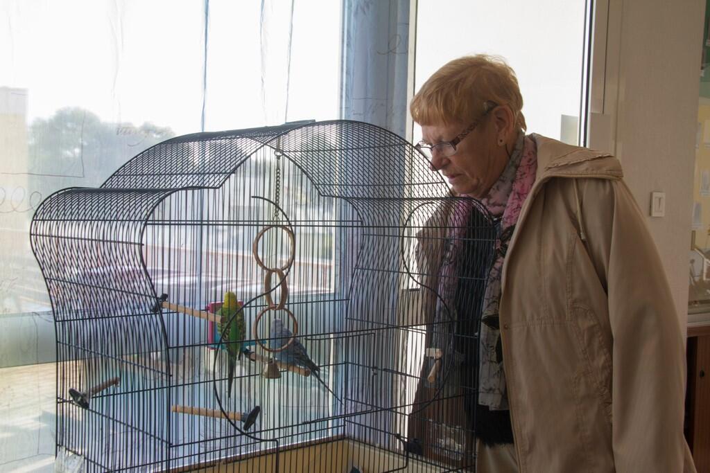 Chacun sa frontière - Collectif clin d'oeil