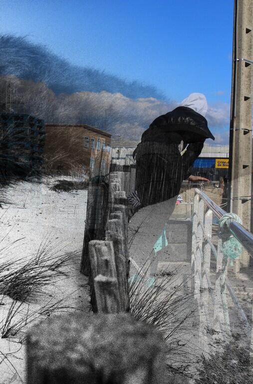 Sans frontières - Kafe Foto