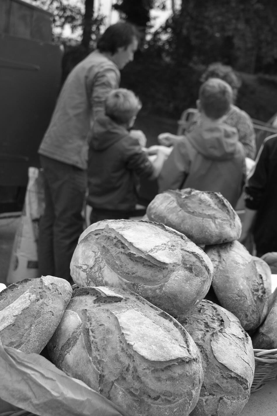 Co-pains en Finistère : Lien social et transmission - Sylvie Lamour