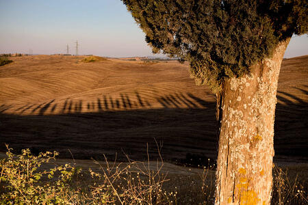 Esthétique des abords