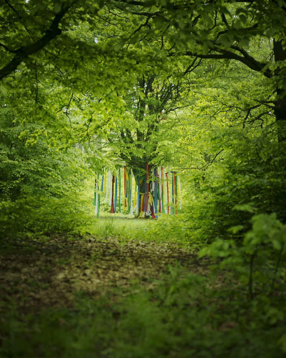 La Forêt Rouge & Futuristic Archaeology - Daesung Lee - 3