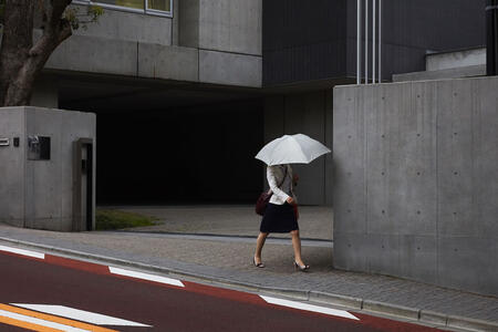 Meddley Pluie d’Images 2020