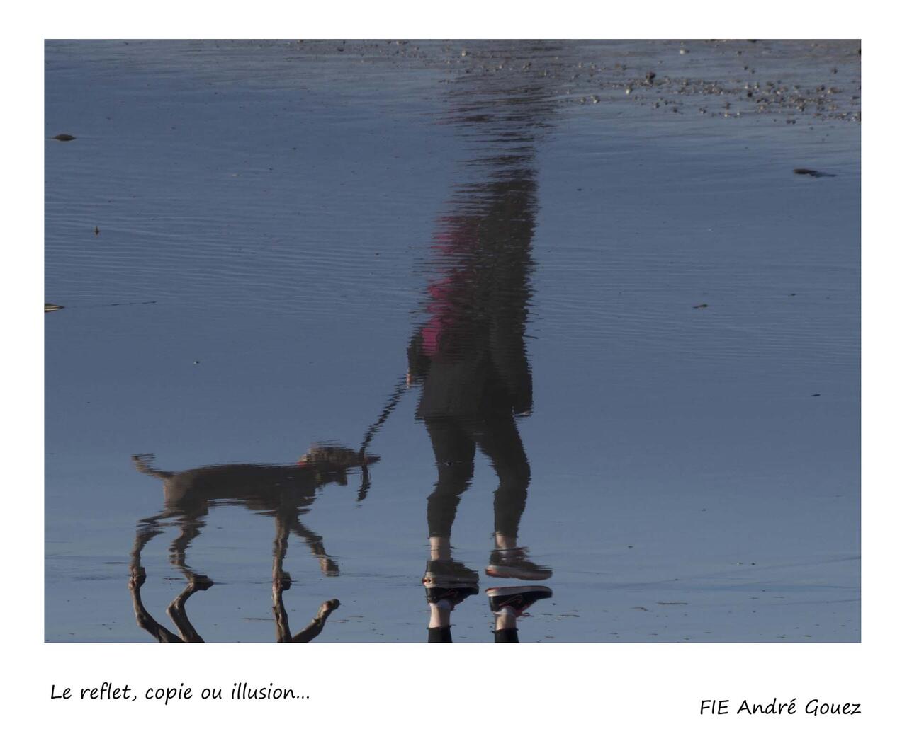 Une pensée décalée dans un esprit sain - Focale Iroise Elorn - 1