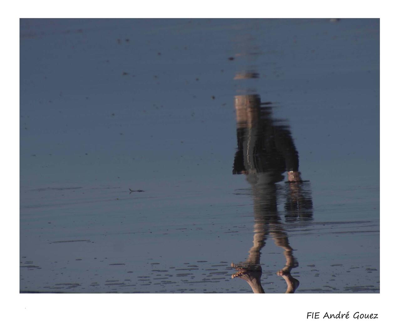 Une pensée décalée dans un esprit sain - Focale Iroise Elorn - 2