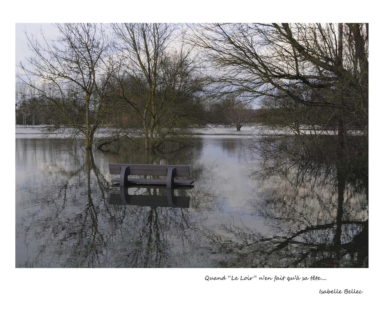 Une pensée décalée dans un esprit sain - Focale Iroise Elorn - 4