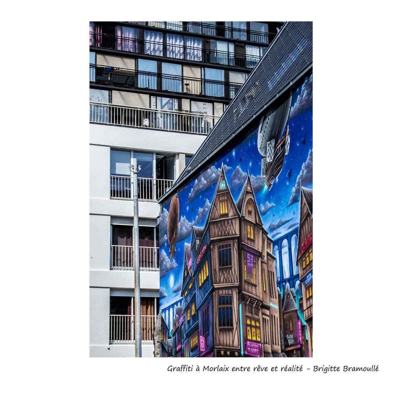 Une pensée décalée dans un esprit sain - Focale Iroise Elorn - 5