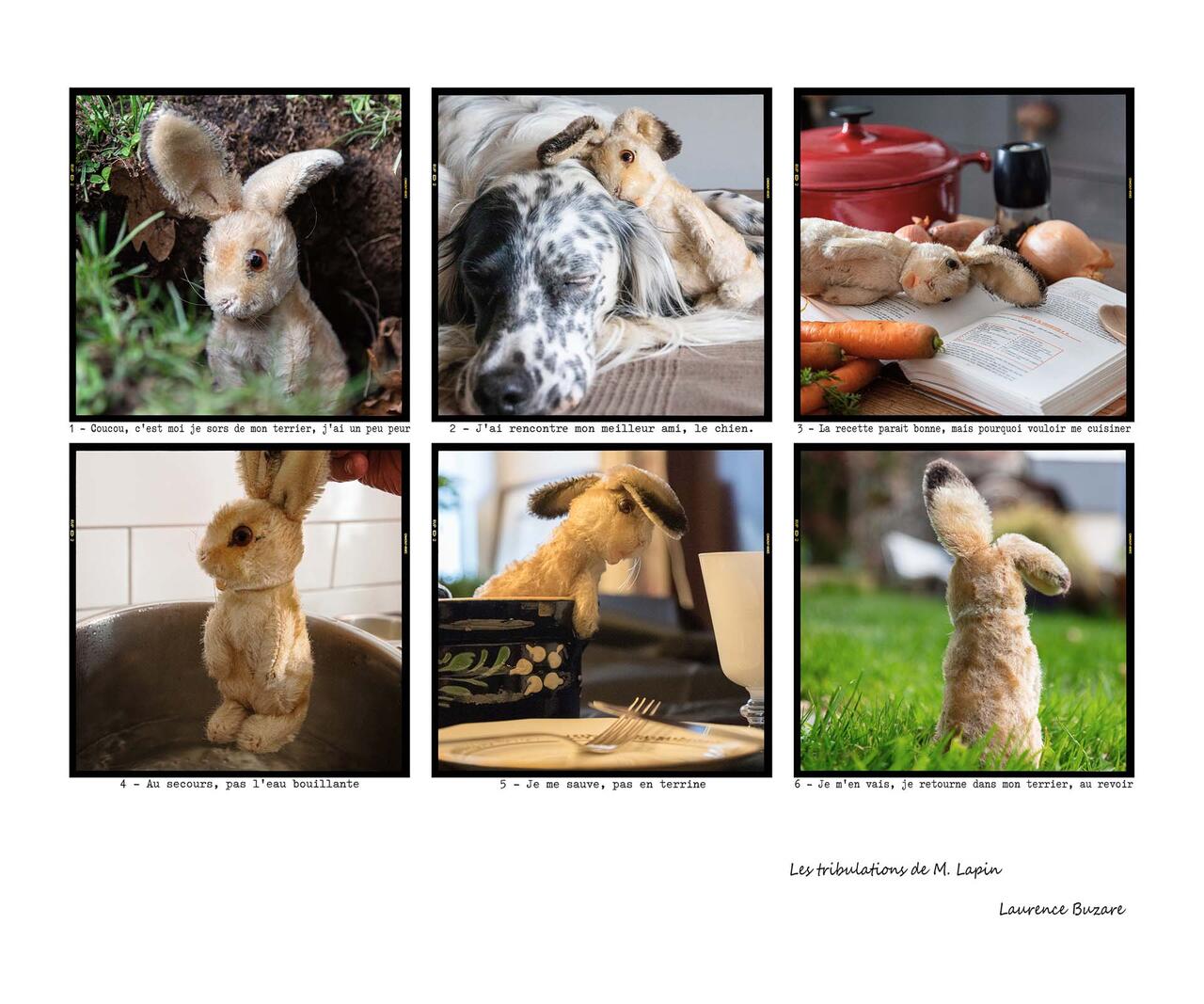 Une pensée décalée dans un esprit sain - Focale Iroise Elorn - 9