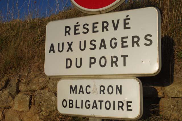 Bizarre, vous avez dit bizarre ! - Club Photo Foyer Laïque de Bourg-Blanc - 3