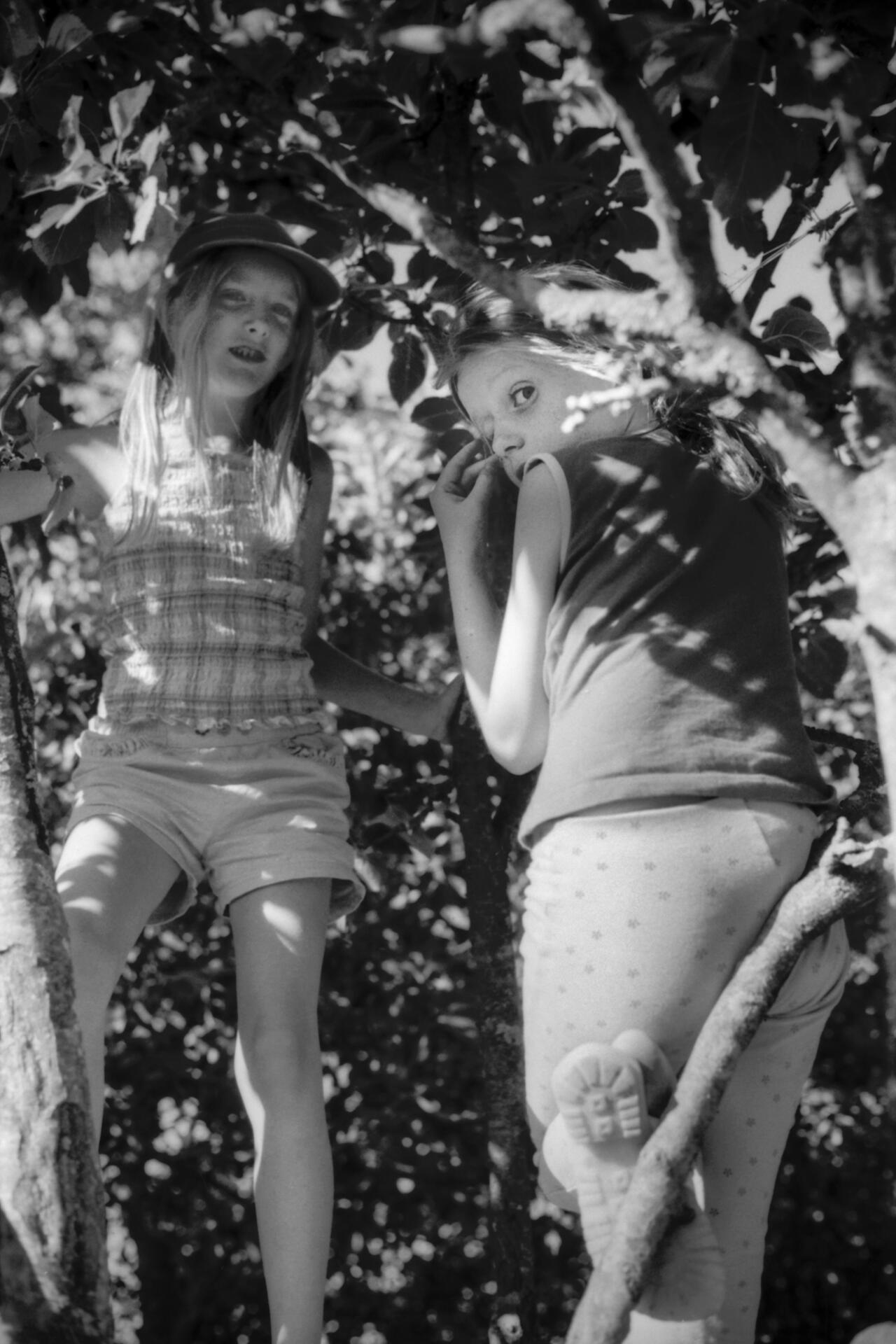 Guillemets et parenthèses - Franck Lebaudy - 8