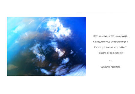 Poétique de l'ordinaire