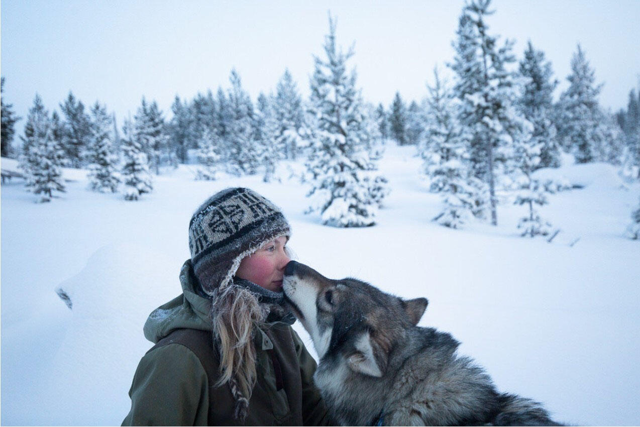 No Signal - Brice Portolano - 1