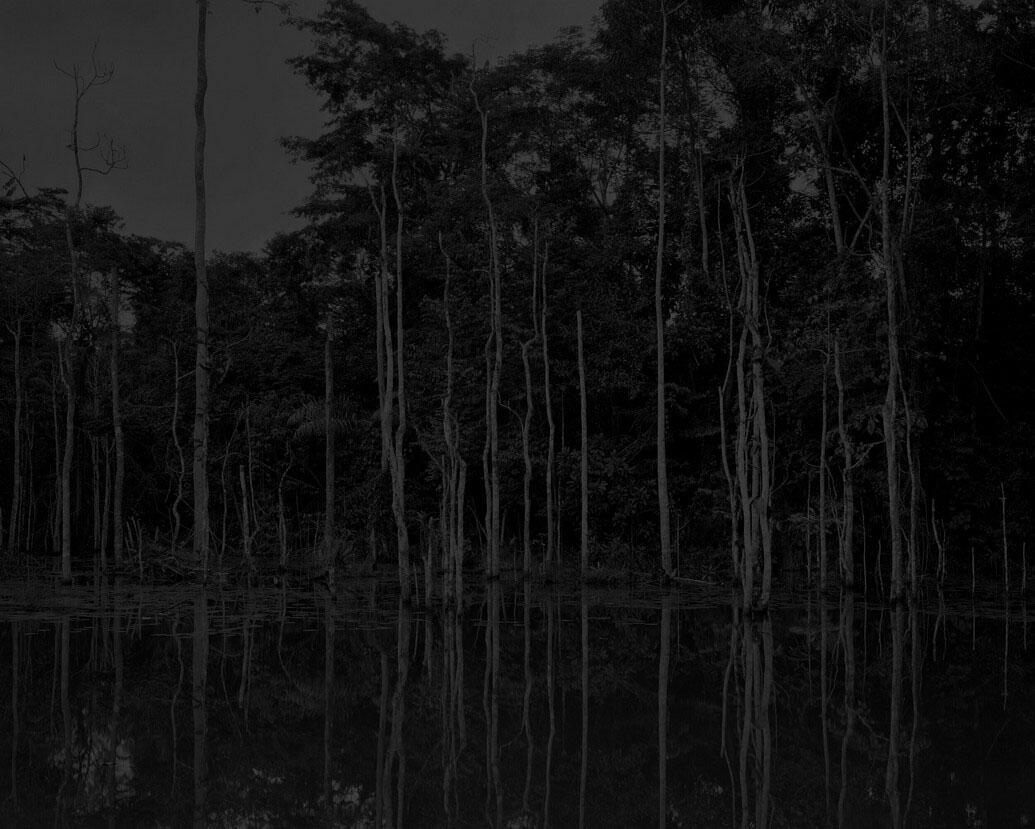 Reaching for Dawn - Elliott VERDIER - 2