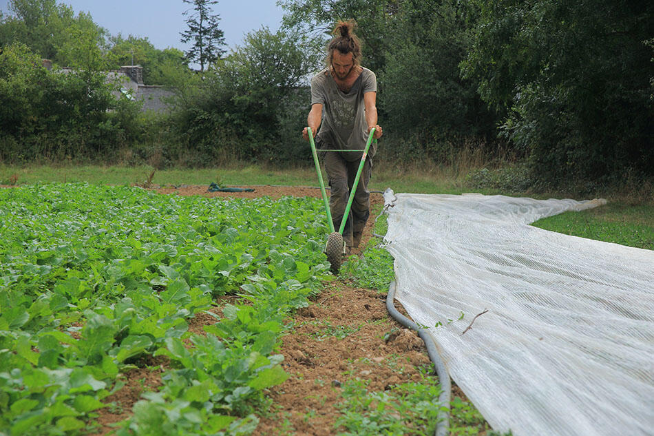 Terres de Liens : des terres bio, paysannes et citoyennes - J.P. Denotte